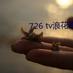 726 tv浪花直播