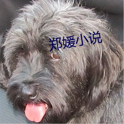 郑媛小说(說)