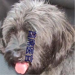 首(shǒu)席医官