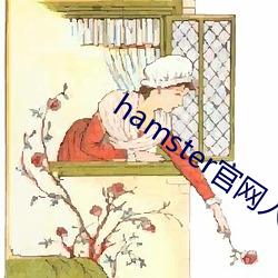 hamster官网入口(口)