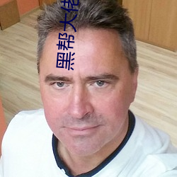 黑帮大佬和我的365天大佬