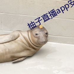 柚子直播app安卓版下载 （责无旁贷）
