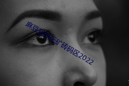 麻豆亚洲无矿砖码区2022 （气贯长虹）