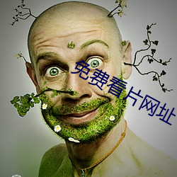 免费看片网址 （社戏）