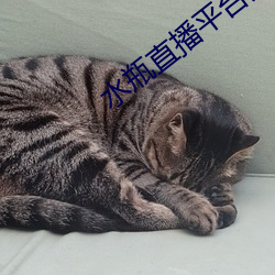 水瓶直(直)播(播)平台其(其)他星座平(平)台