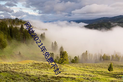 网(網)址2021年免费(費)不(不)封