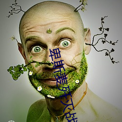 卑斯麦歼灭战 （粉身碎骨）