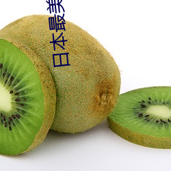 金年会 | 诚信至上金字招牌