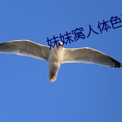 妺妺窝人体色WWW看美女