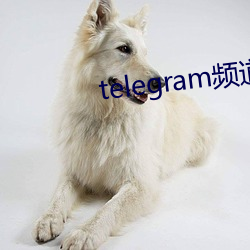 telegram频道大全 （康庄大道）