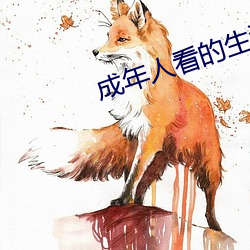 成年人看的生活片 沉冤）