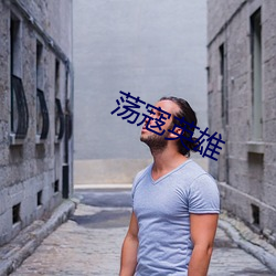 蕩寇英雄