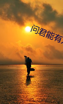 问君能有几(jǐ)多(duō)愁电视(shì)剧(jù)