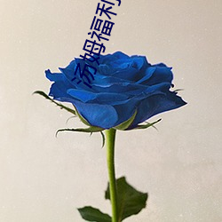 湯姆福利影院