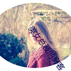 美女总裁俏房客