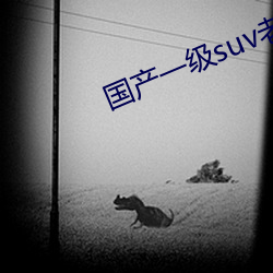 国产一(一)级suv老妇女