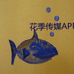 花季传媒APP下载安装 （数黄道黑）