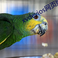 xvdevios网页版