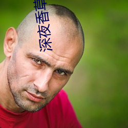 深夜(yè)香(xiāng)草app下载