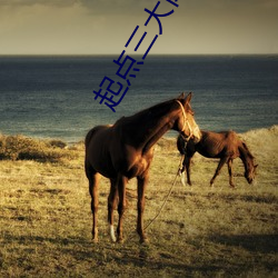 起点三(sān)大肉器是什么(me)意思(sī)