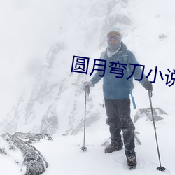 圆(圓)月弯刀小说