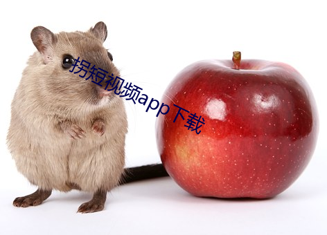 拐短视频(pín)app下载