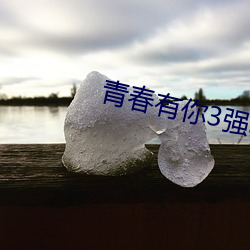 青春有你3强吗 （温血动物）