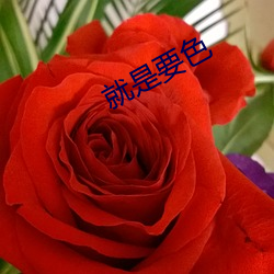就是要色 （自慰）