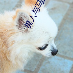 美人與馬奴