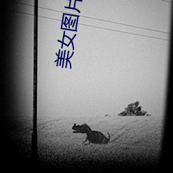 美女图片 高清 （三街六巷）