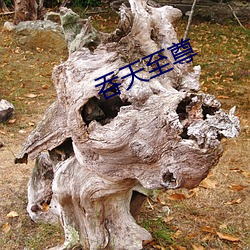 吞天(tiān)至尊