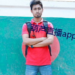 葫芦直播app手机版下载