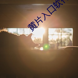黄片入口软件(jiàn)