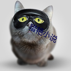 猎艳小(xiǎo)说