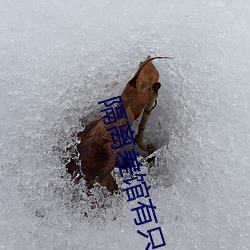 隔离差馆有只鬼