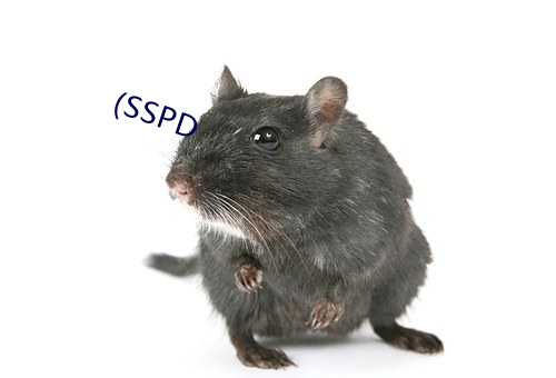 (SSPD