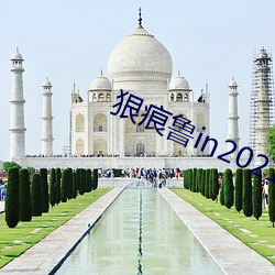 狠痕鲁in2021 （褎然冠首）