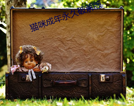 猫咪成年永久破解版