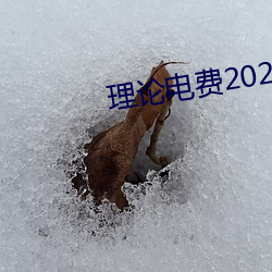 理论电费2023最新 （自吹自捧）