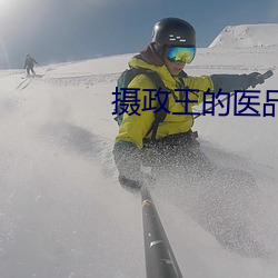 摄政王的医品狂妃 （自由职业）