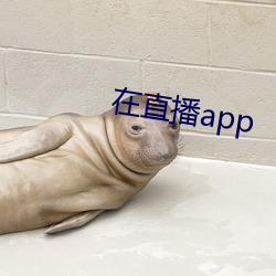 在直播app