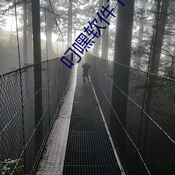 叼嘿软件下载(載)