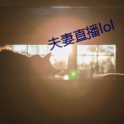 夫妻直播lol