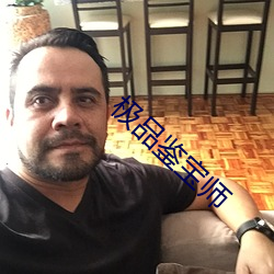 极品鉴(鑒)宝师