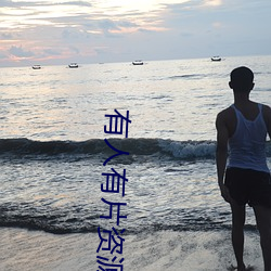 有人有片资源吗免费不