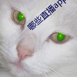 哪些直播app深夜