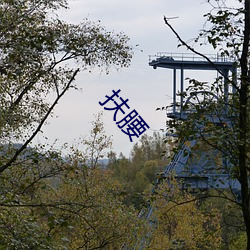 扶腰 （辙乱旂靡）