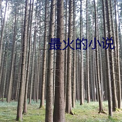 金年会 | 诚信至上金字招牌