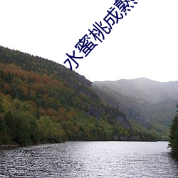 水蜜桃成熟时