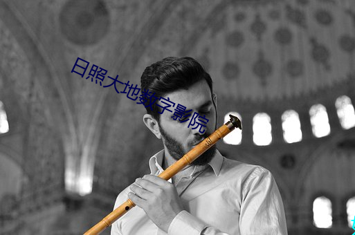 日照大地数字影院 （一般见识）